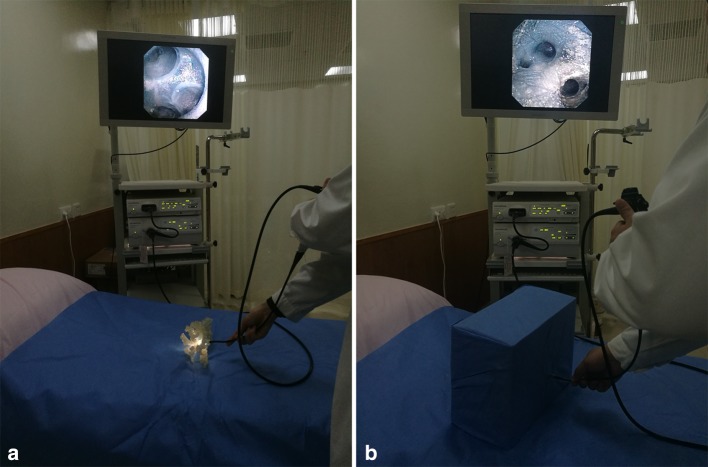 Fig. 2