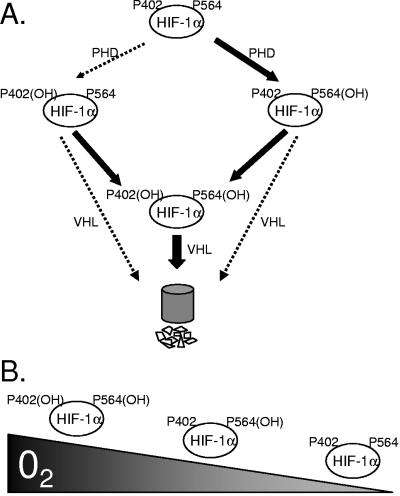 FIG. 7.