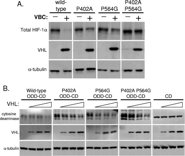 FIG. 5.