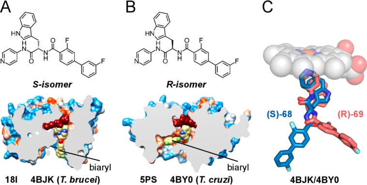 Figure 25