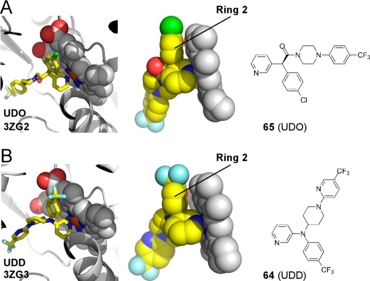 Figure 23