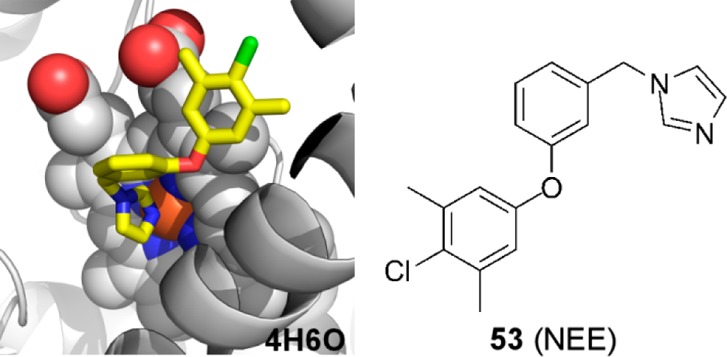 Figure 19