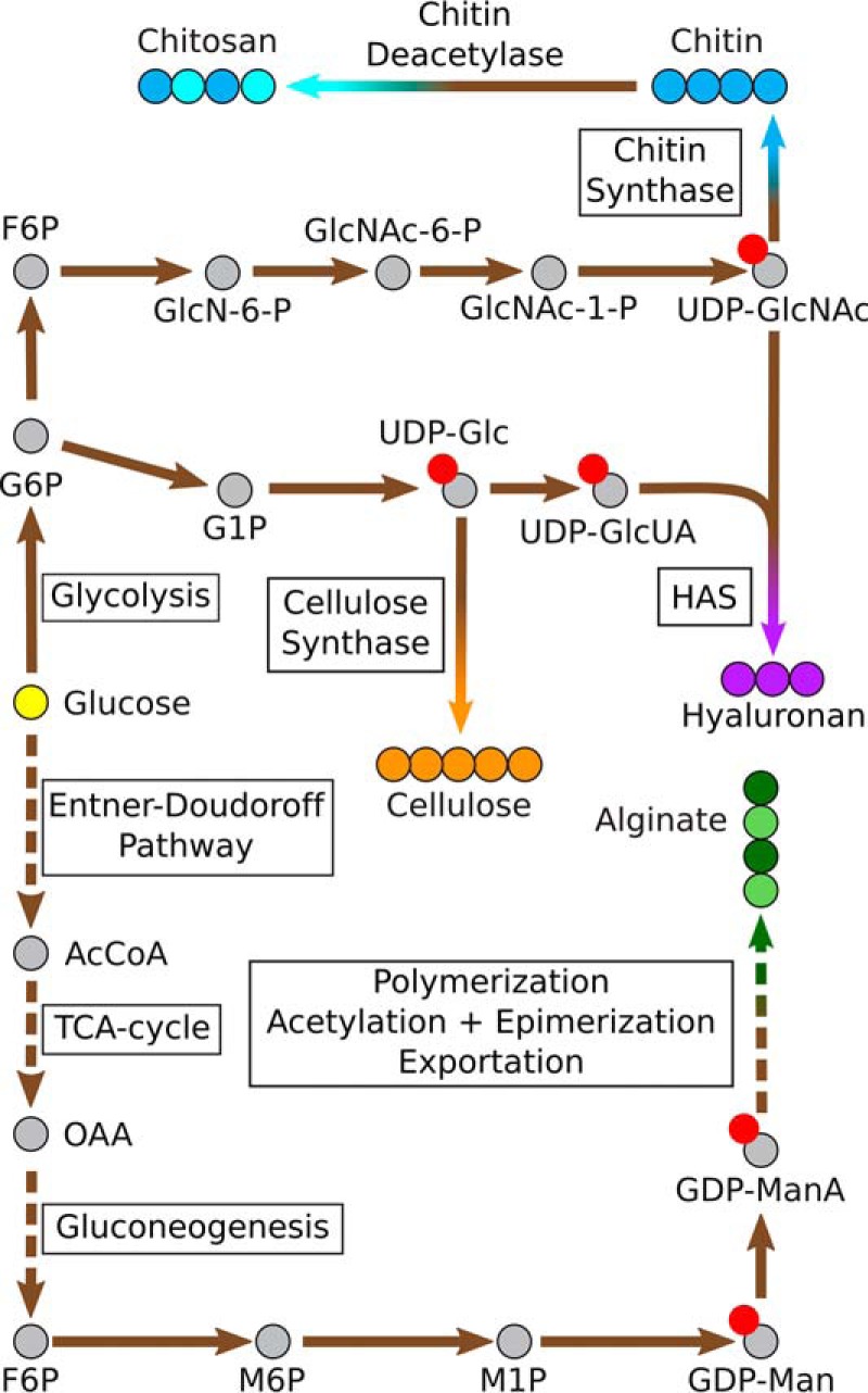 Figure 2.