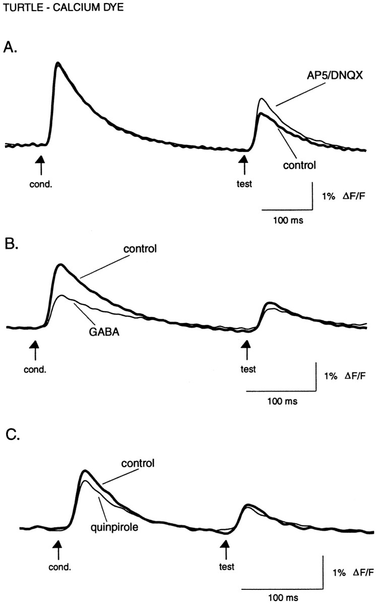 Fig. 8.