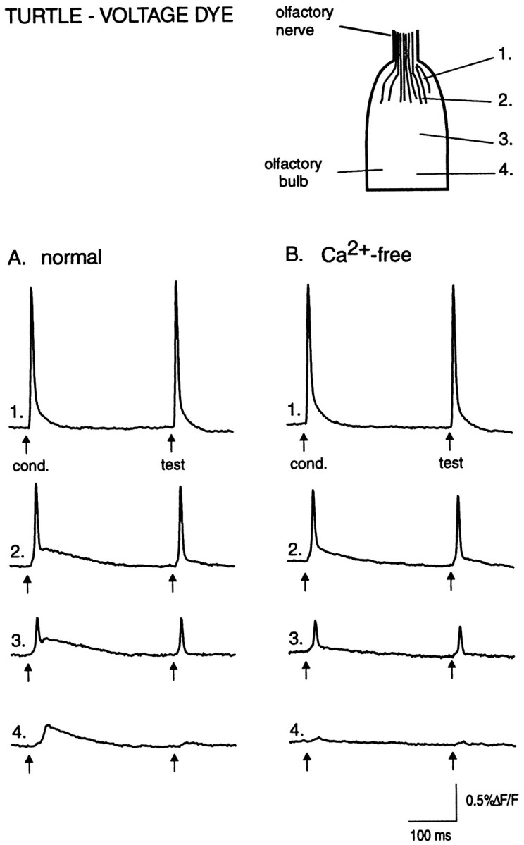 Fig. 5.