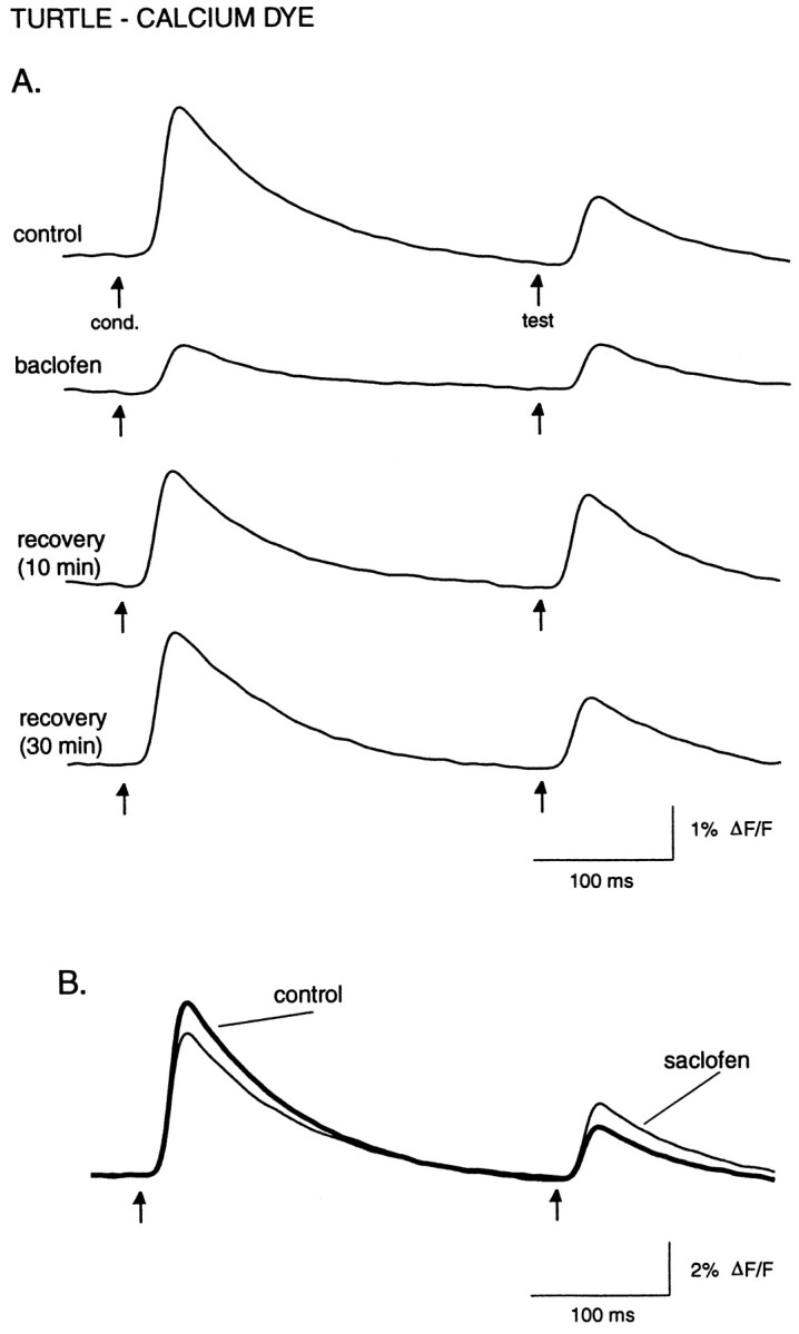 Fig. 9.