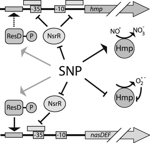 FIG. 9.