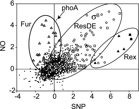 FIG. 8.