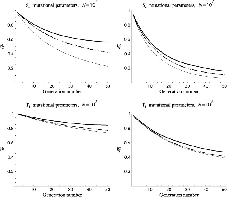 Figure 5.—