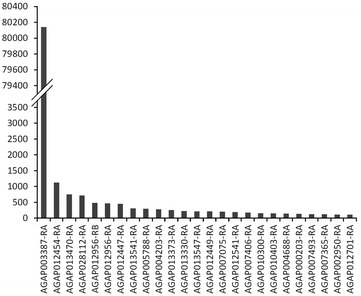 Fig. 7