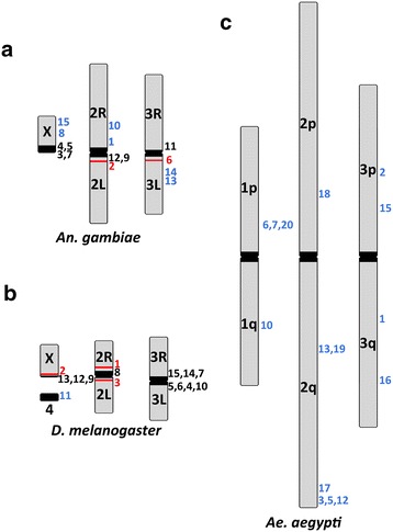 Fig. 6