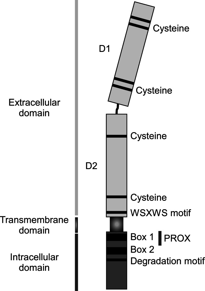 Fig. 2