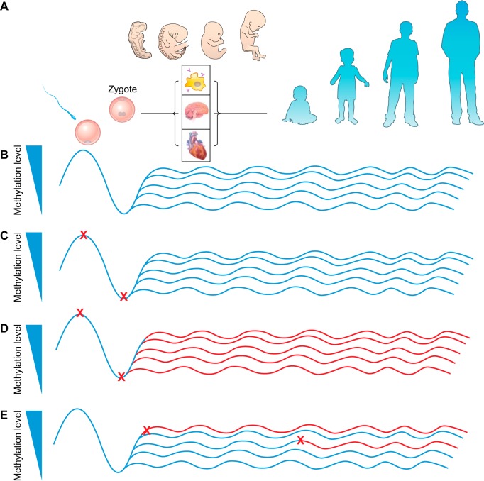 FIGURE 3.