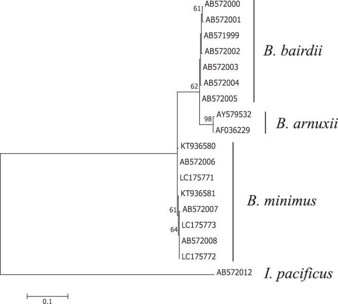 Figure 9