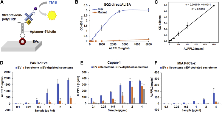 Figure 3