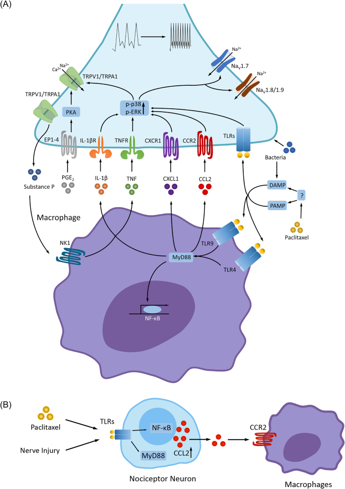 Figure 3: