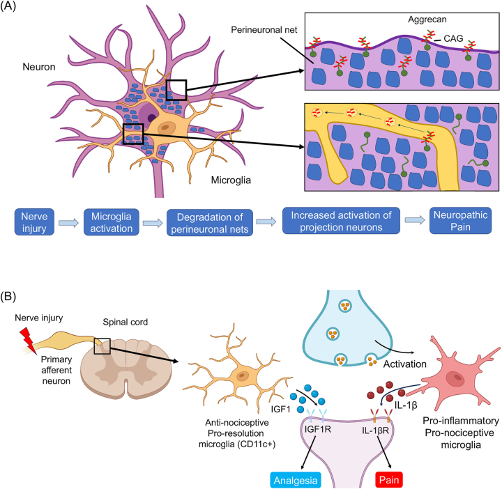 Figure 11: