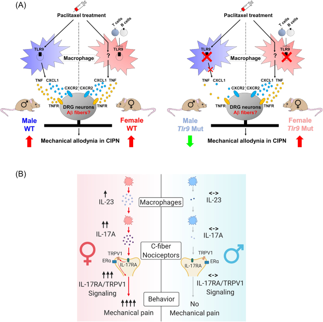 Figure 6: