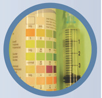 graphic file with name 10.1016_j.jfms.2009.01.003-fig8.jpg