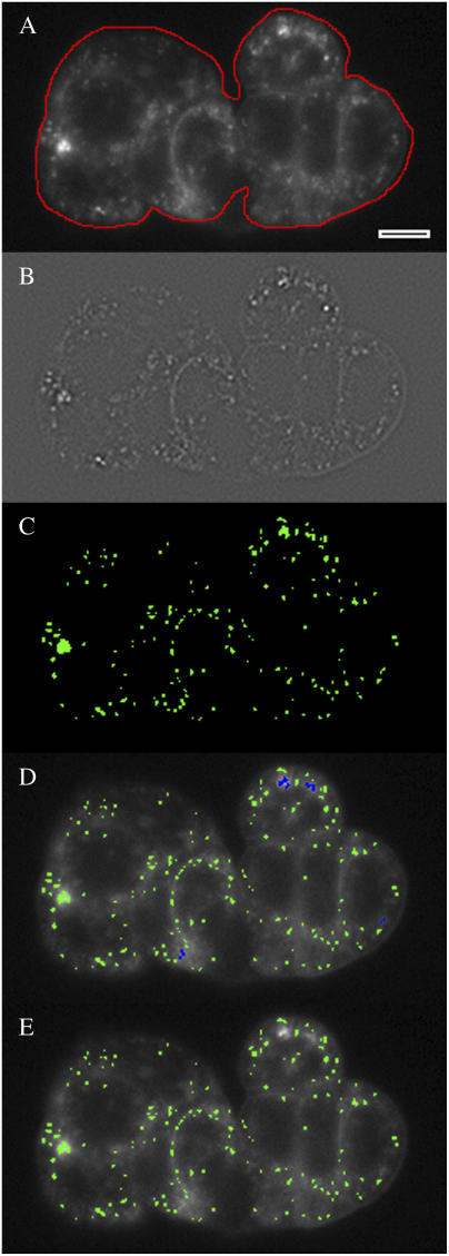 FIGURE 3