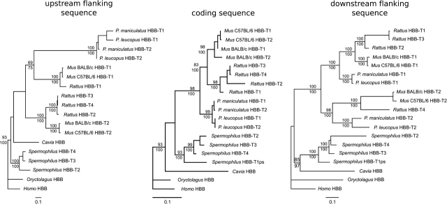 FIG. 3.—