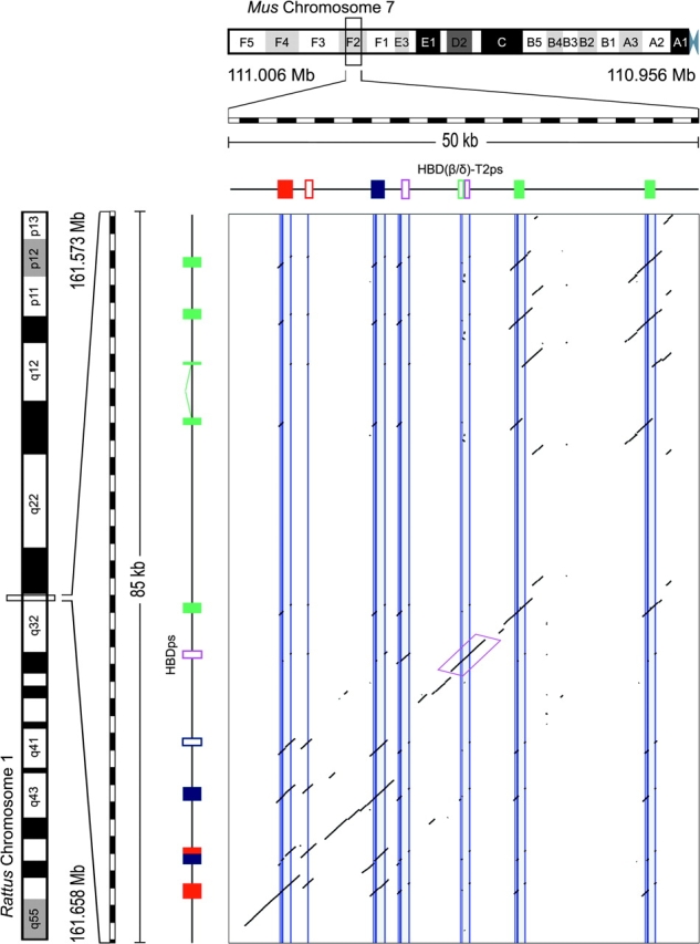 FIG. 6.—