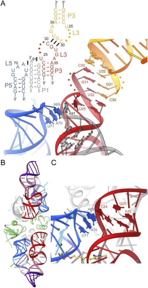 FIGURE 4.