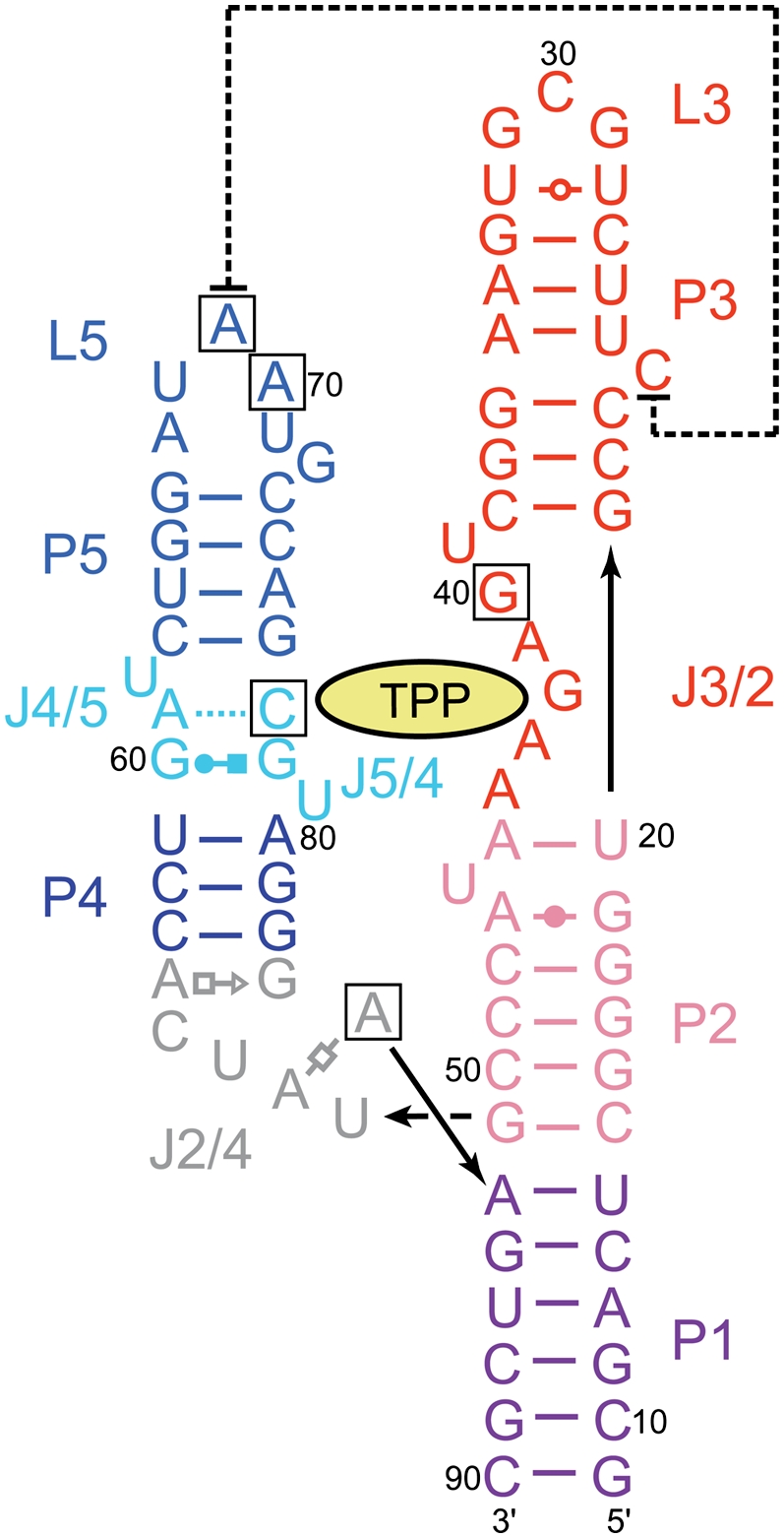 FIGURE 1.