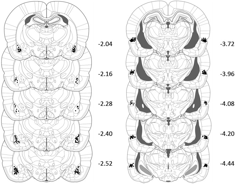 Figure 5.