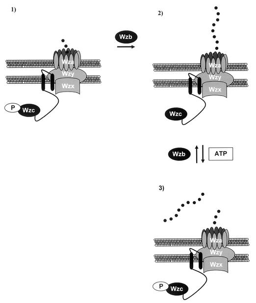 FIG. 8.