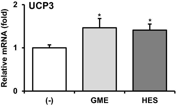 Fig. 5