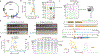 Extended Data Figure 4 |