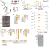 Extended Data Figure 3 |