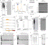 Extended Data Figure 5 |