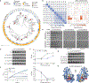 Extended Data Figure 1 |