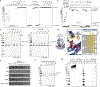 Figure 3 |