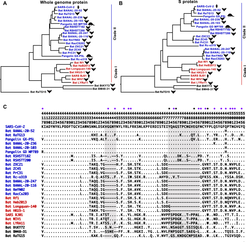 Figure 2: