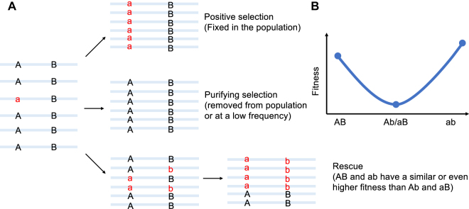 Figure 6: