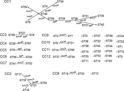 FIG. 1.