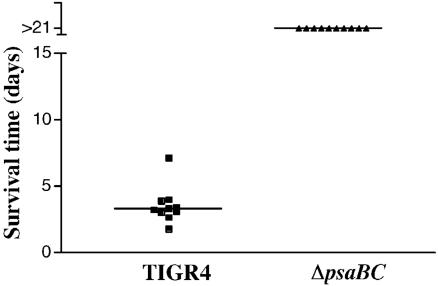 FIG. 5.