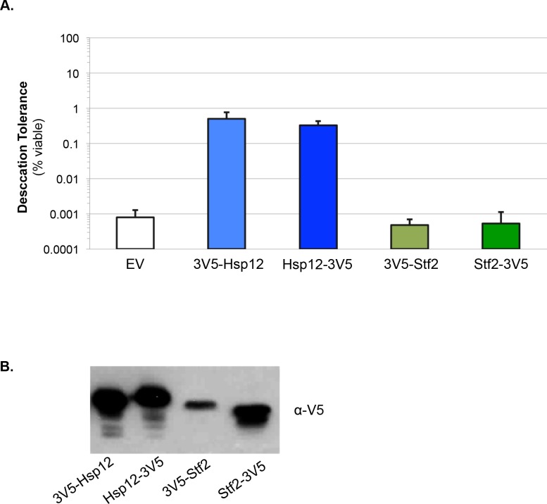 Figure 5—figure supplement 1.