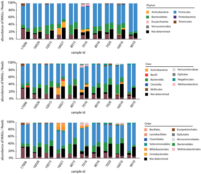 Figure 2—figure supplement 2.