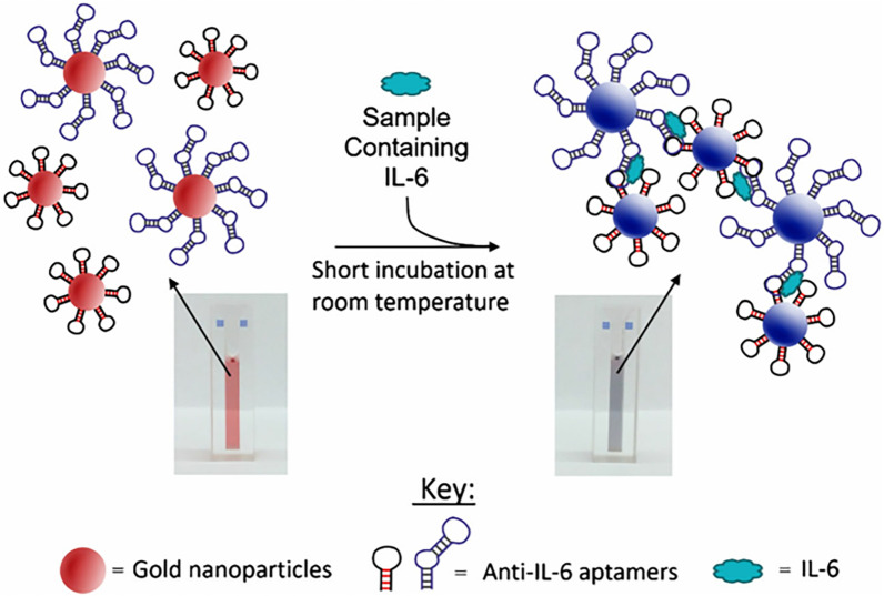 Fig. 11