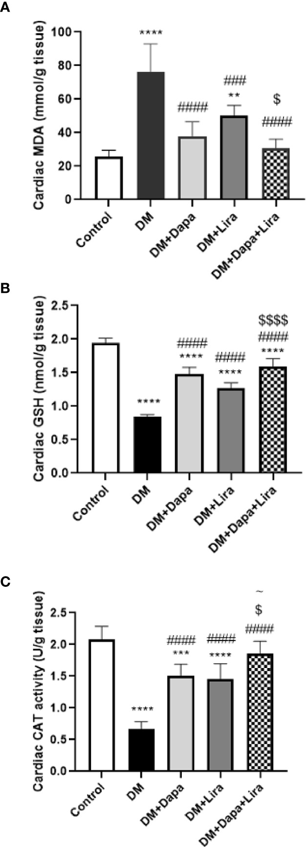 Figure 3