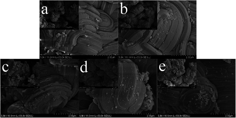 Fig. 8