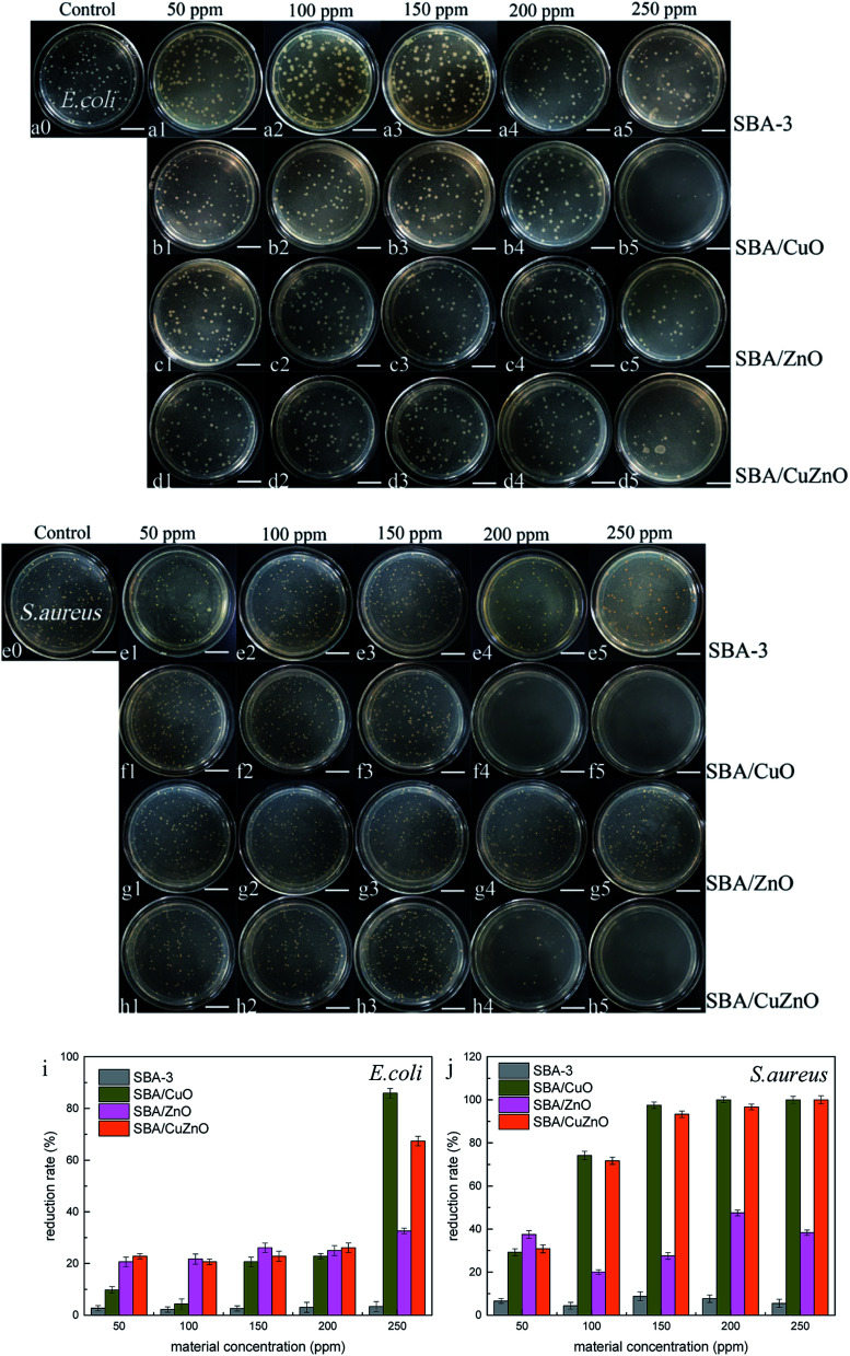 Fig. 13