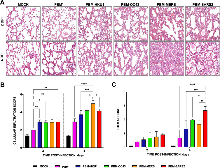 FIG 4