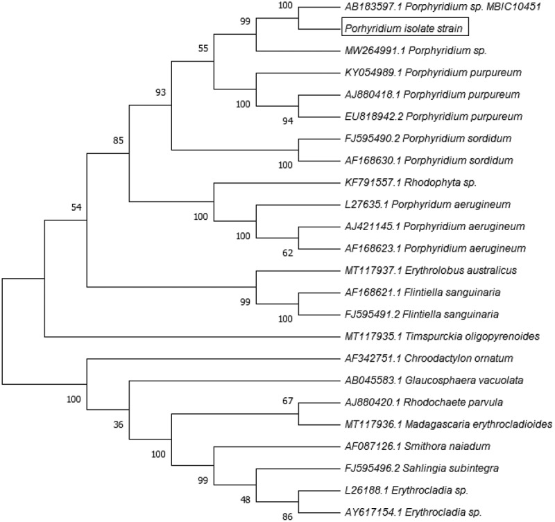 Figure 2.