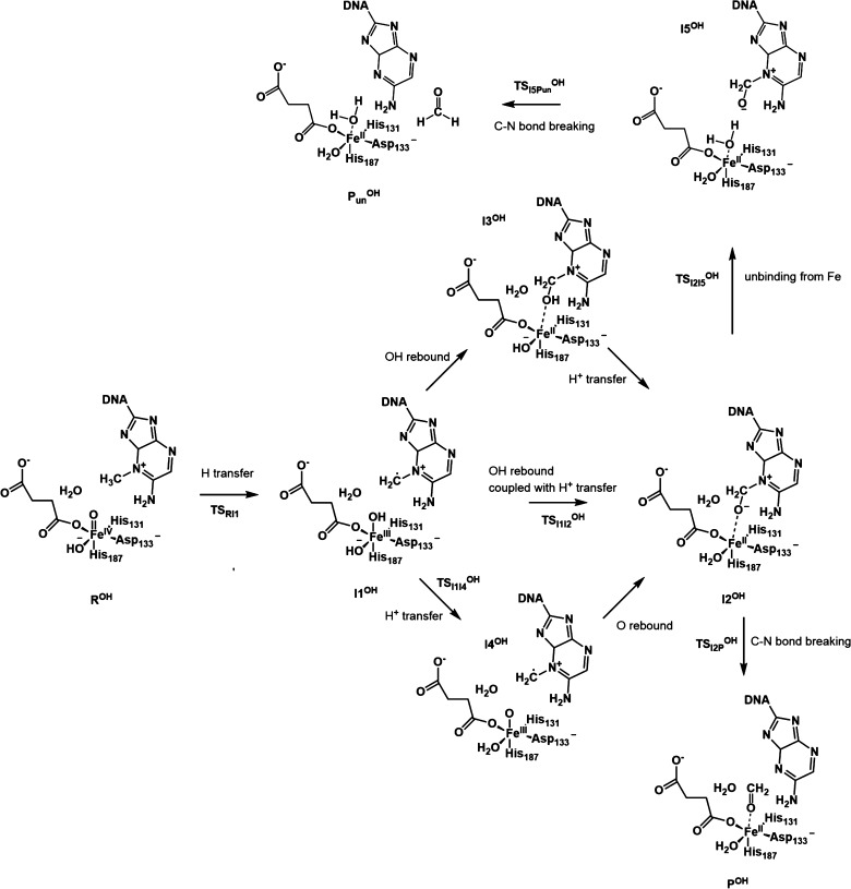 Scheme 3