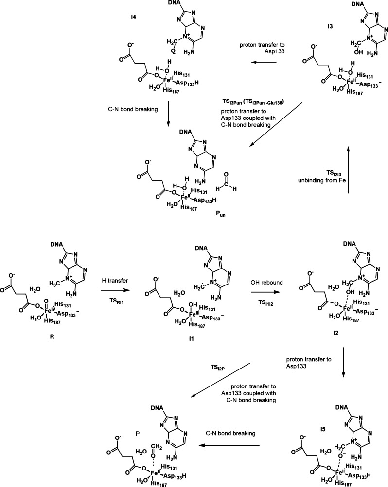 Scheme 2